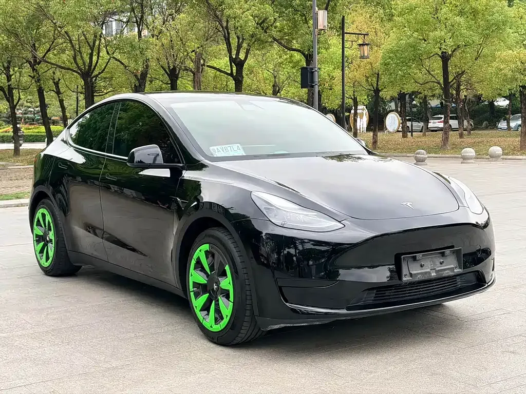 Tesla Model Y — фото 8