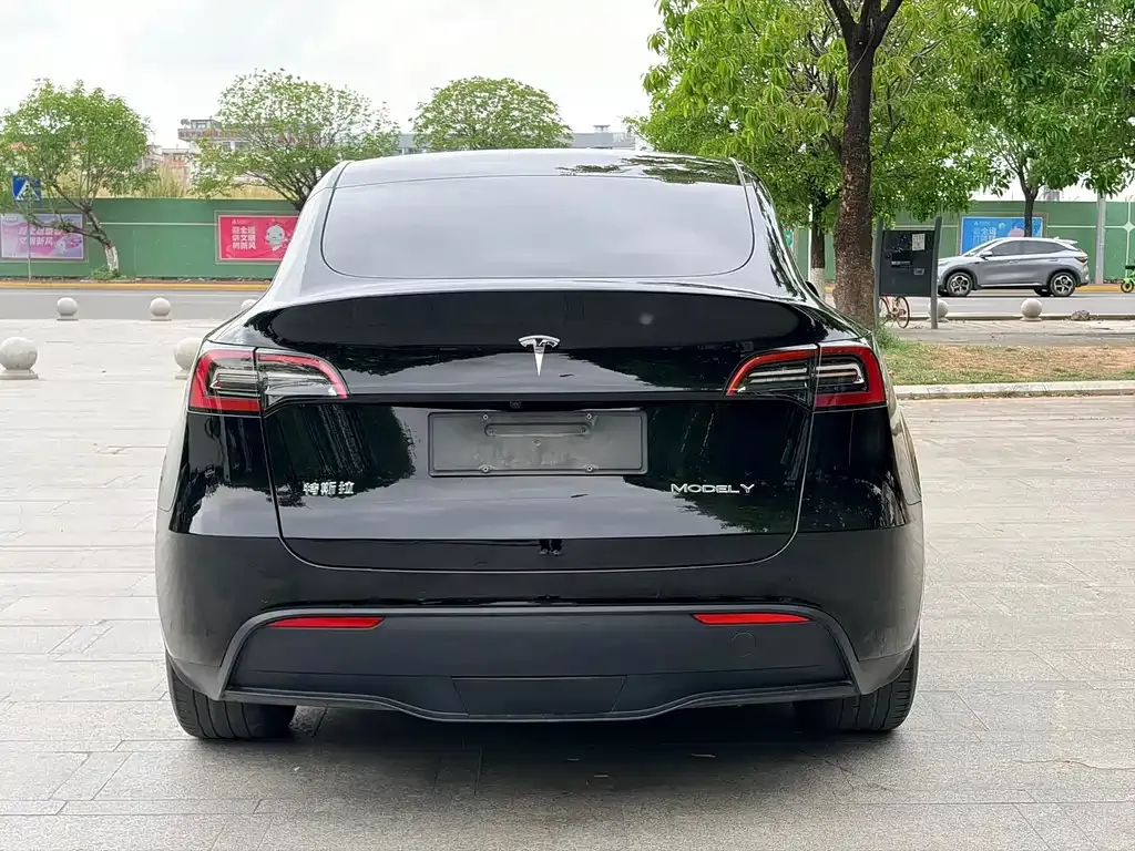 Tesla Model Y — фото 4