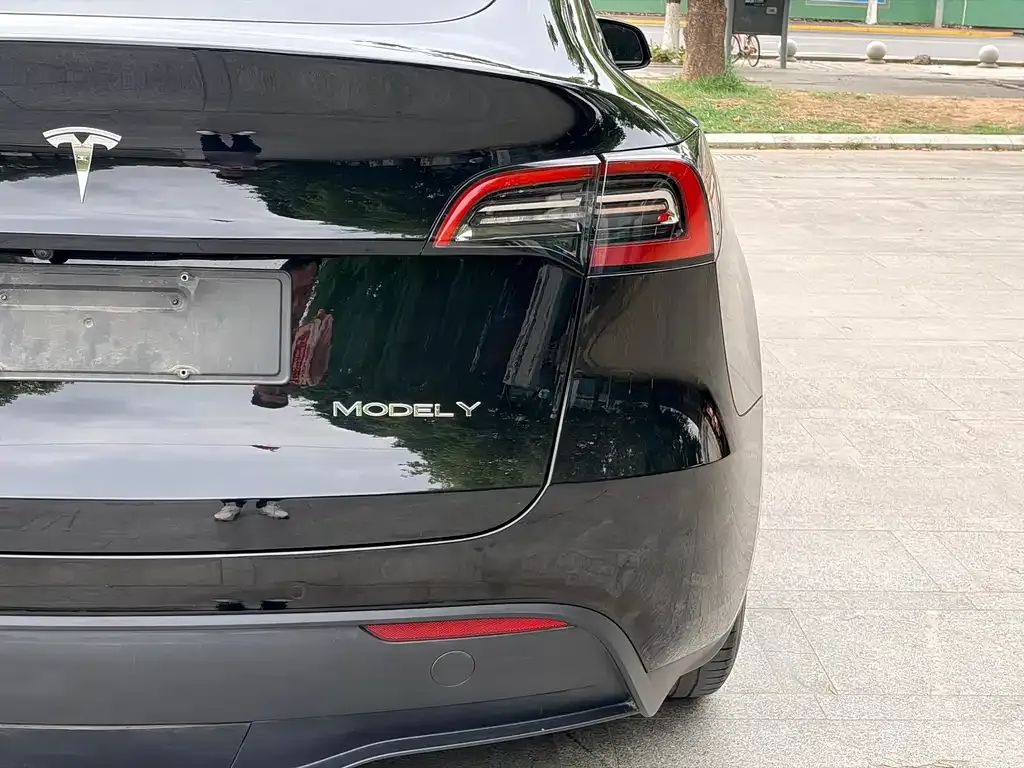 Tesla Model Y — фото 2