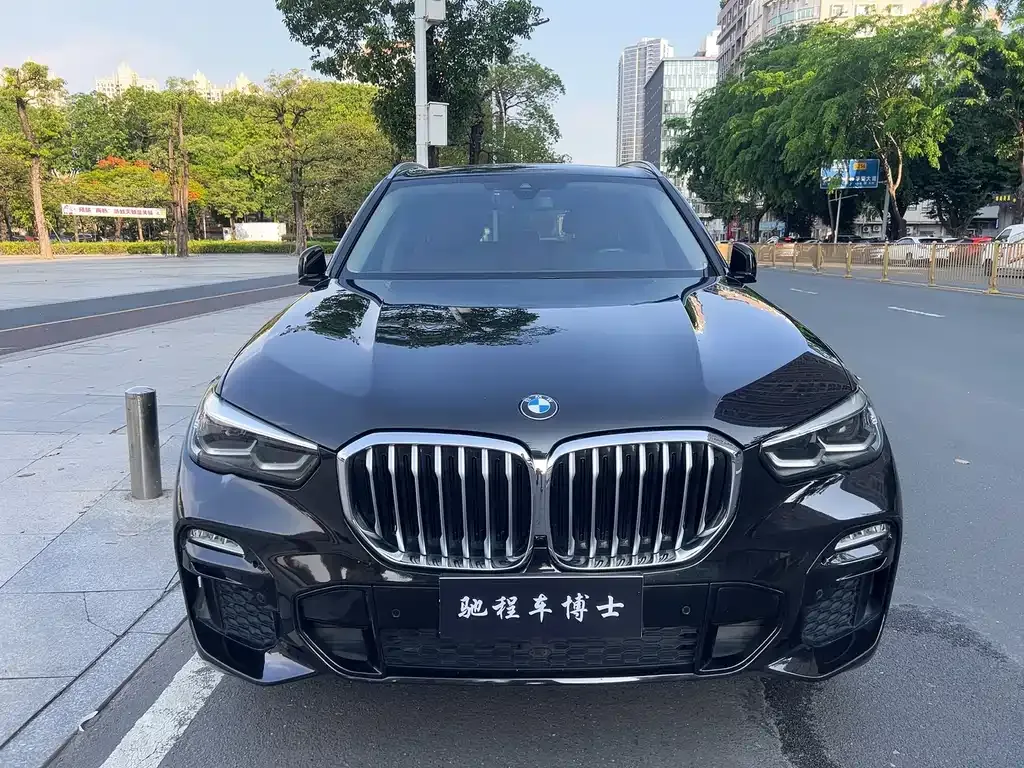 BMW X5 (Import) 2021 из CN, фото 9