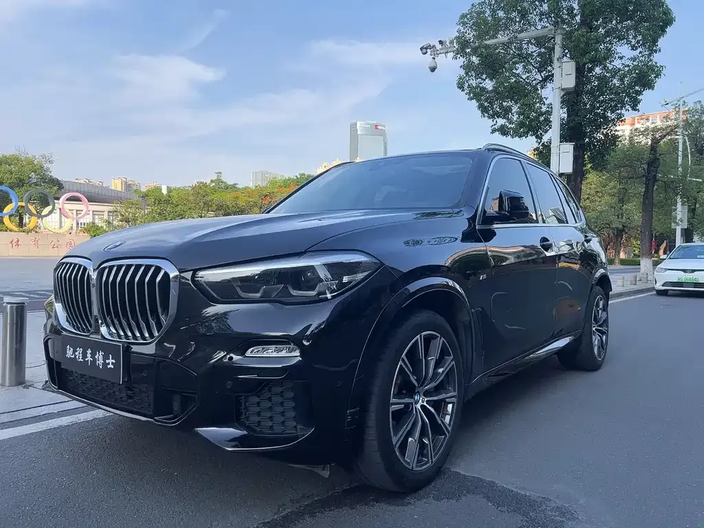BMW X5 (Import) 2021 из CN, фото 5