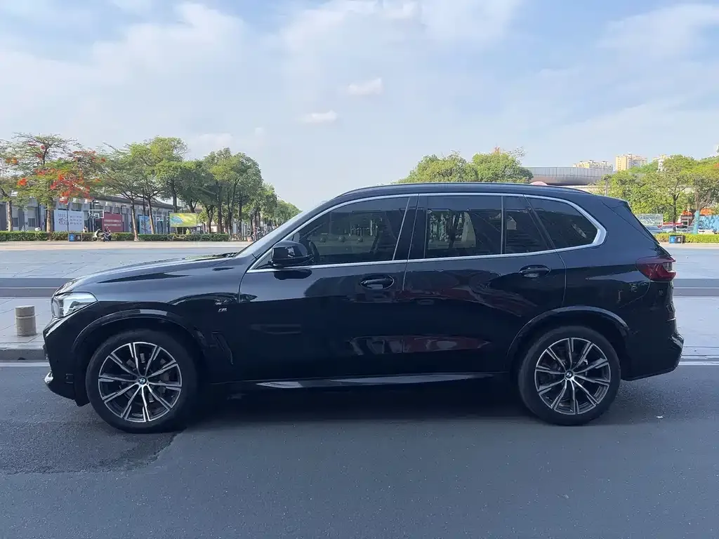 BMW X5 (Import) 2021 из CN, фото 2