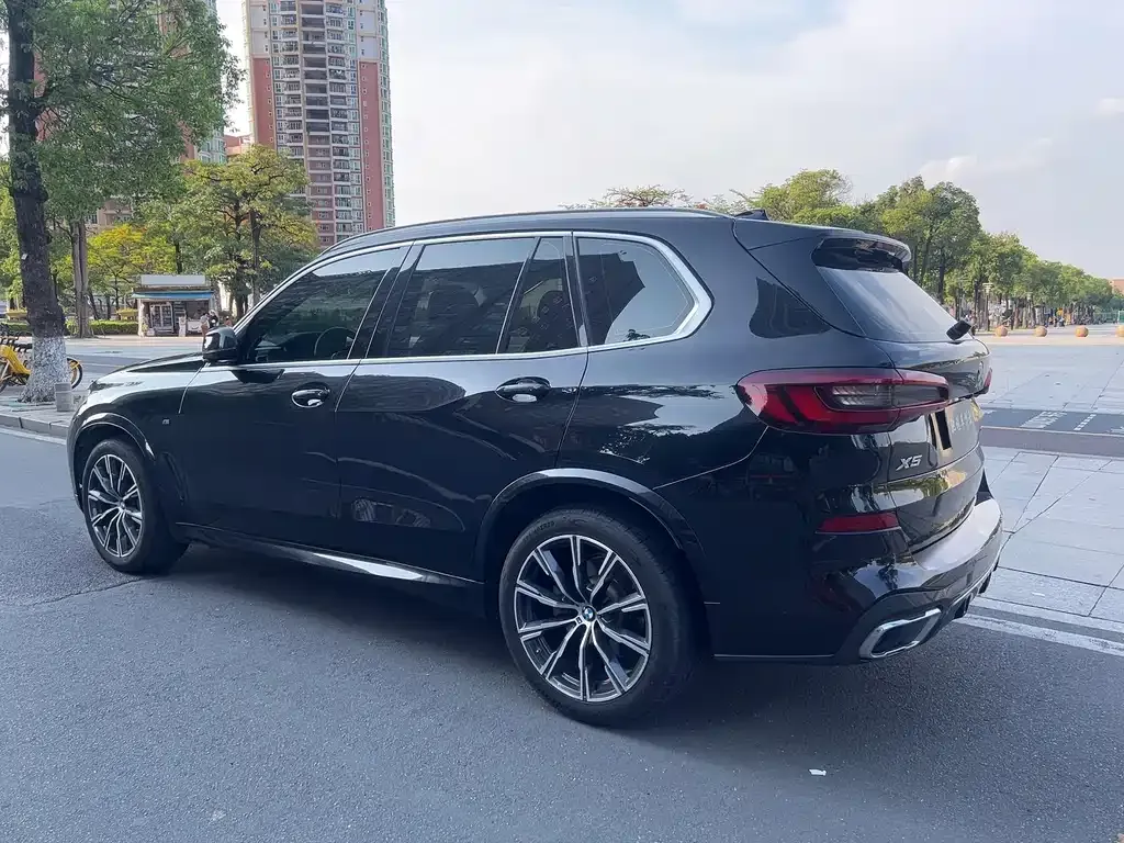 BMW X5 (Import) 2021 из CN, фото 7