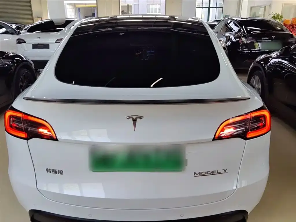Tesla Model Y — фото 6