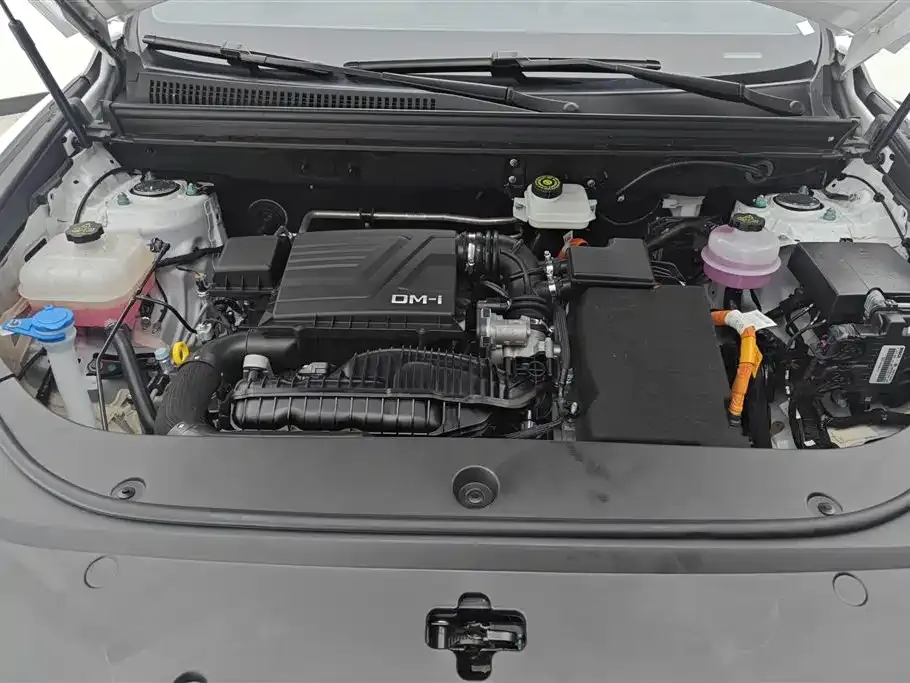 BYD Pro New Energy — фото 10