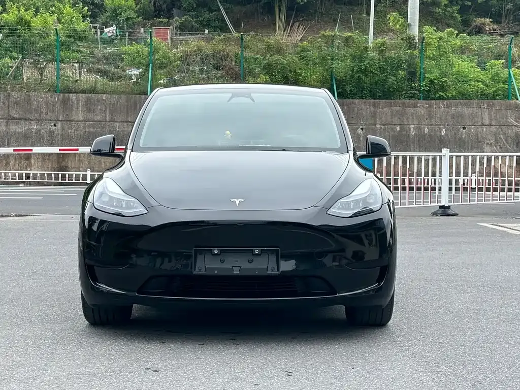 Tesla Model Y — фото 10