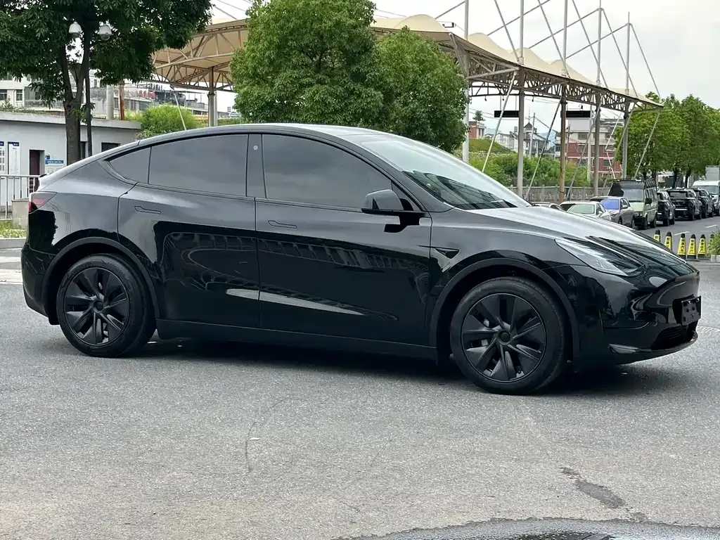 Tesla Model Y — фото 6