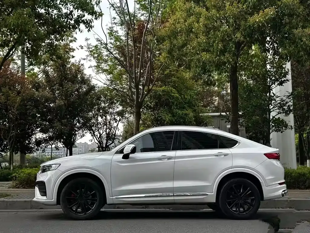 Geely Xingyue S 2021 из CN, фото 9