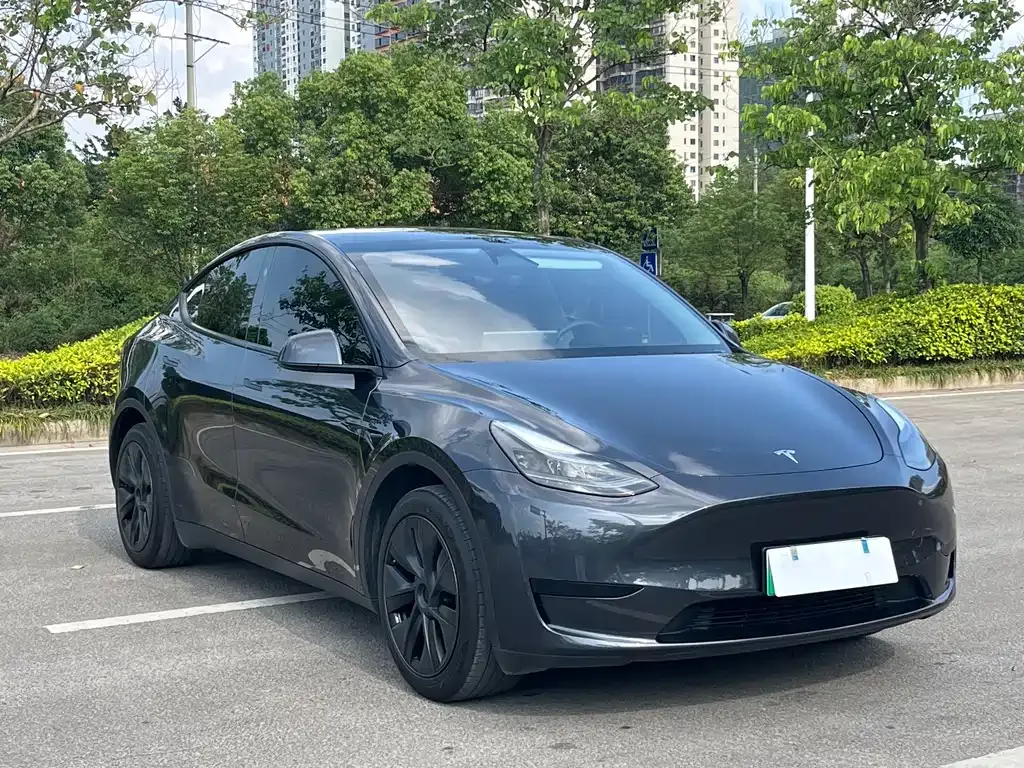 Tesla Model Y — фото 10