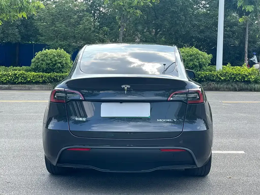 Tesla Model Y — фото 3