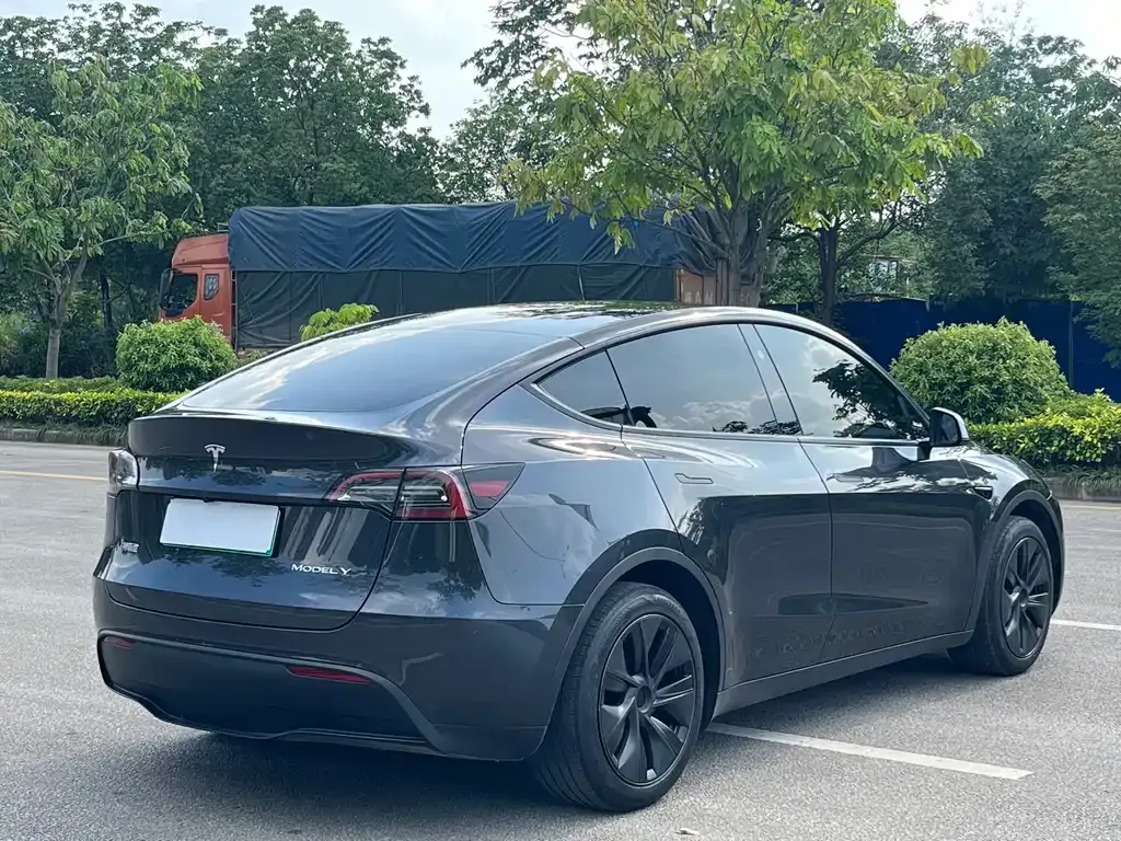 Tesla Model Y — фото 9