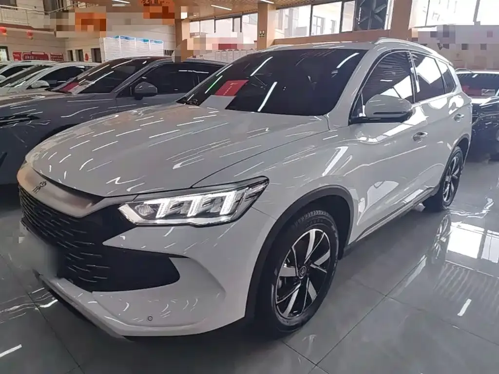 BYD Pro New Energy — фото 4
