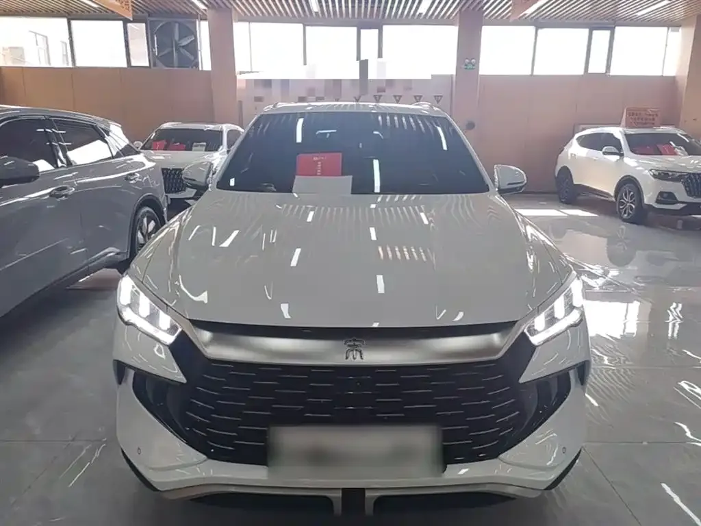 BYD Pro New Energy — фото 2