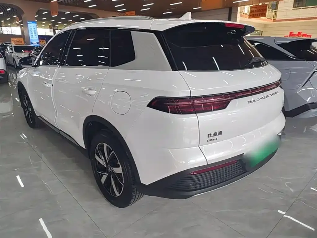 BYD Pro New Energy — фото 8
