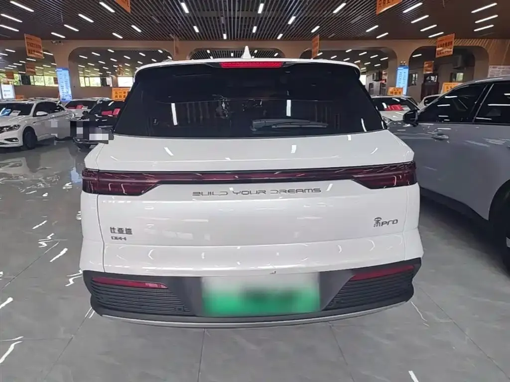 BYD Pro New Energy — фото 10