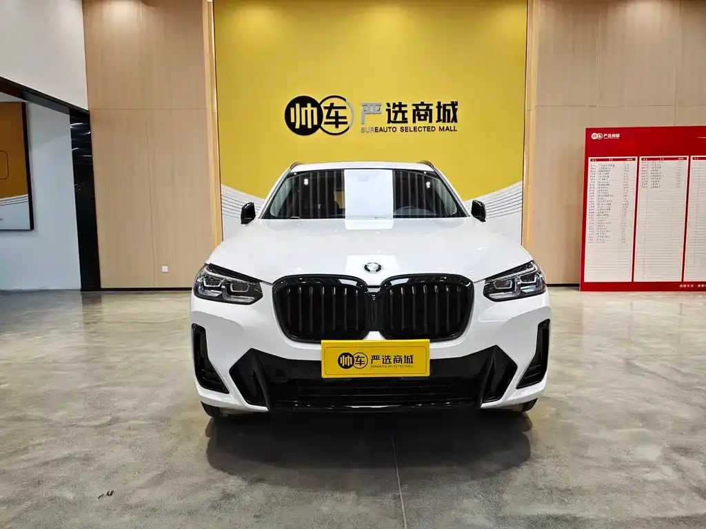 BMW X3 2022 из CN, фото 9