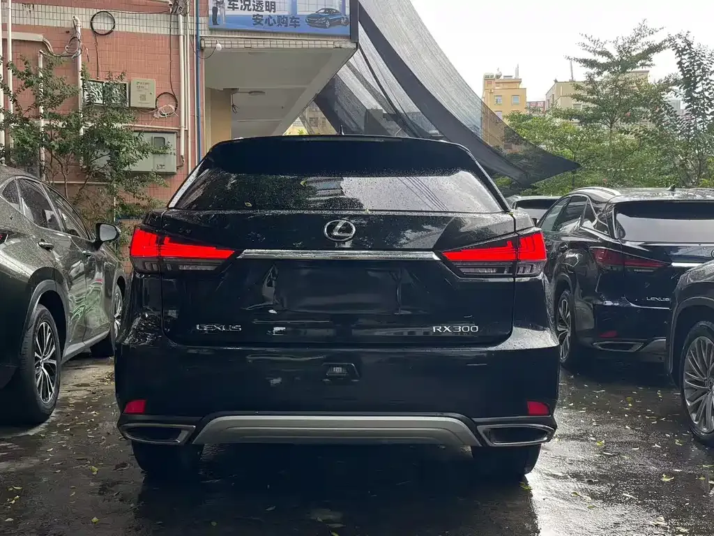 Lexus RX 2022 из CN, фото 5