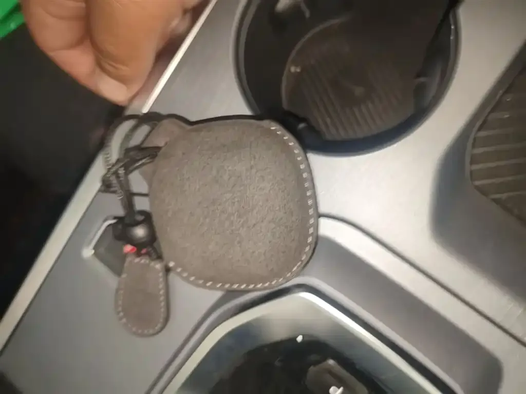 Jetour Dasheng — фото 6