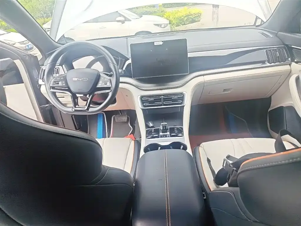 BYD PLUS New Energy 2024 из CN, фото 2
