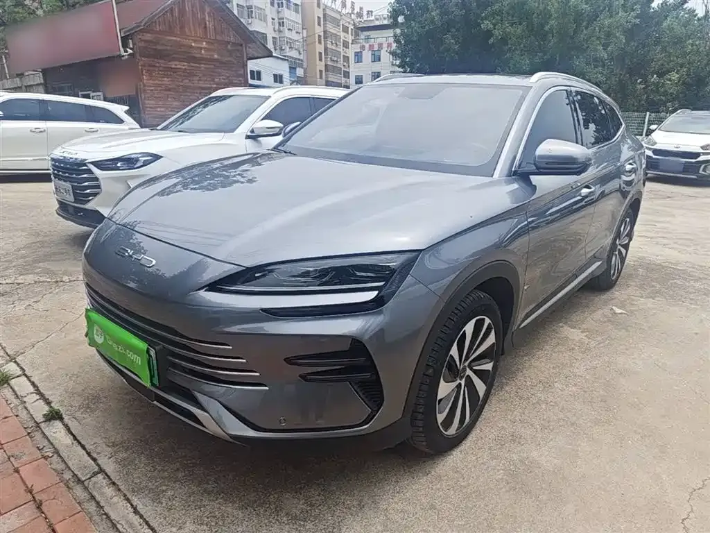 BYD PLUS New Energy 2024 из CN, фото 9