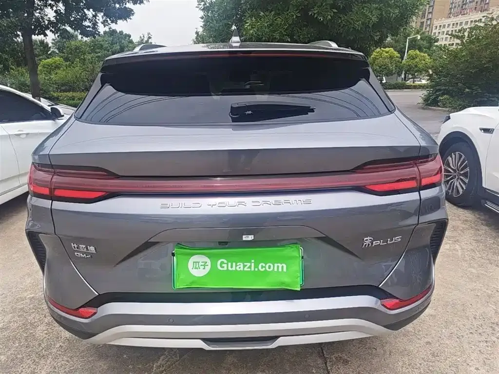 BYD PLUS New Energy 2024 из CN, фото 4