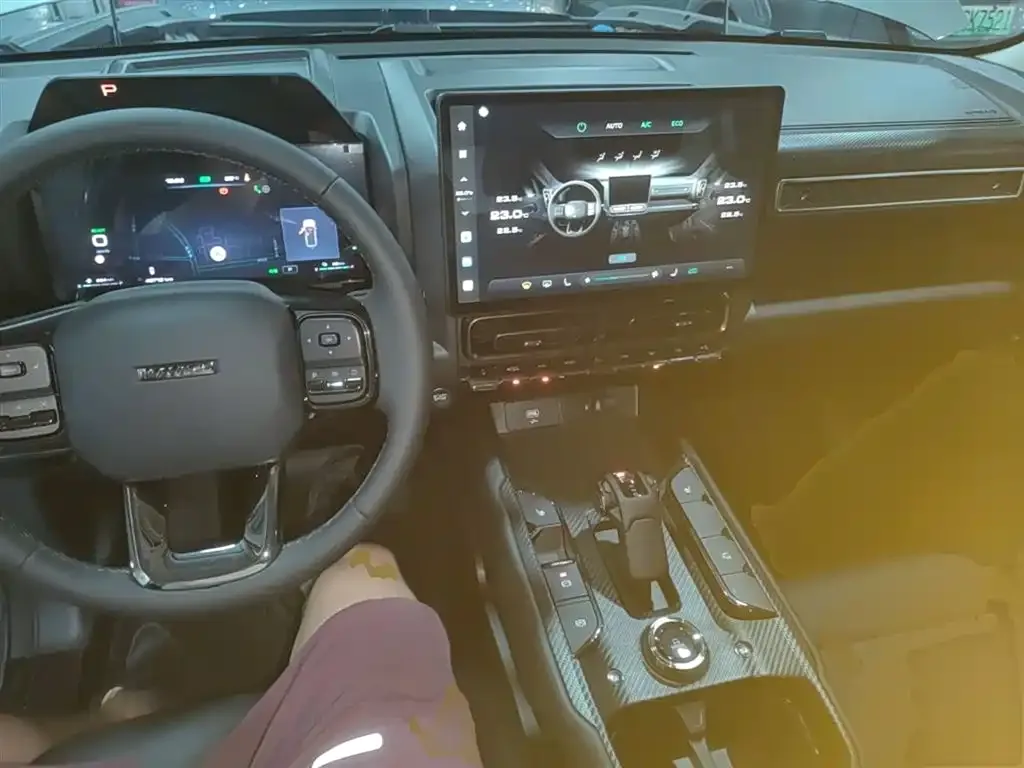 Haval Menglong New Energy 2023 из CN, фото 8