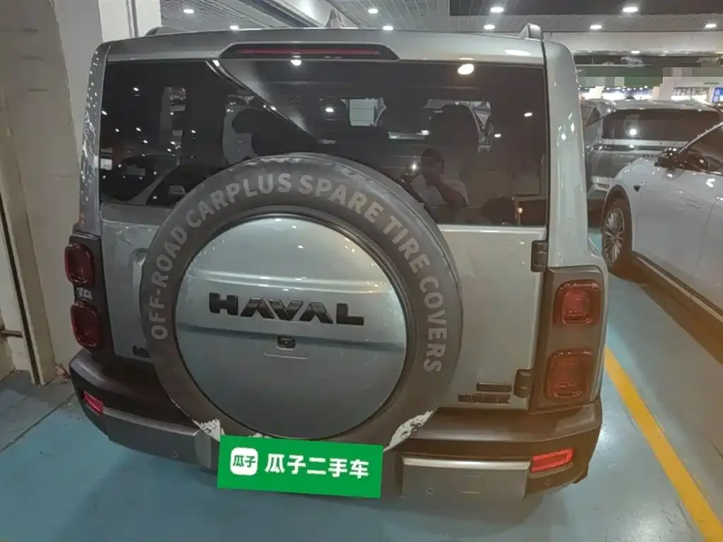 Haval Menglong New Energy 2023 из CN, фото 6