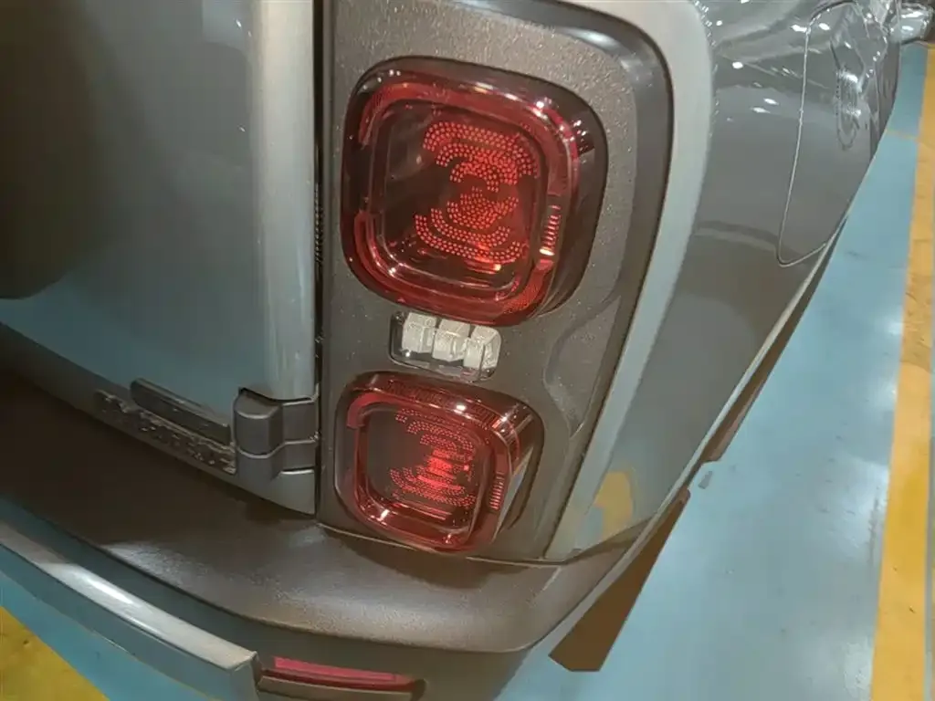 Haval Menglong New Energy 2023 из CN, фото 9
