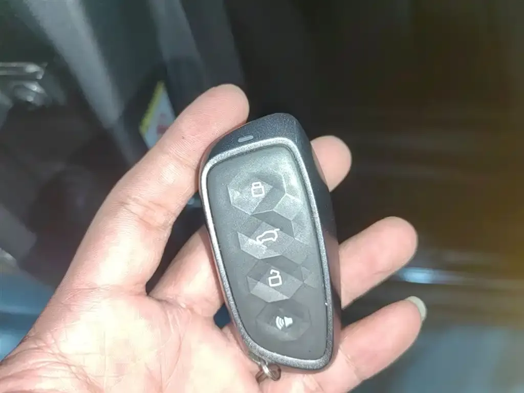 Haval Menglong New Energy 2023 из CN, фото 2