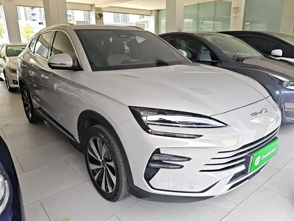 BYD PLUS New Energy — фото 2