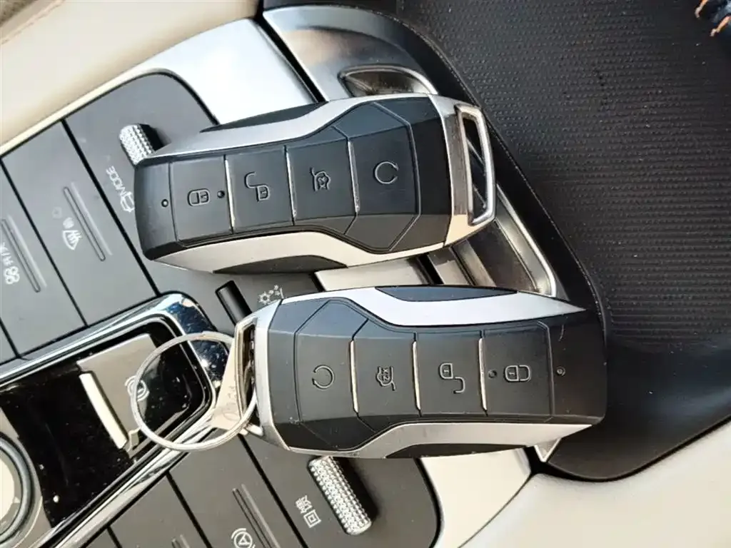 BYD PLUS New Energy — фото 10