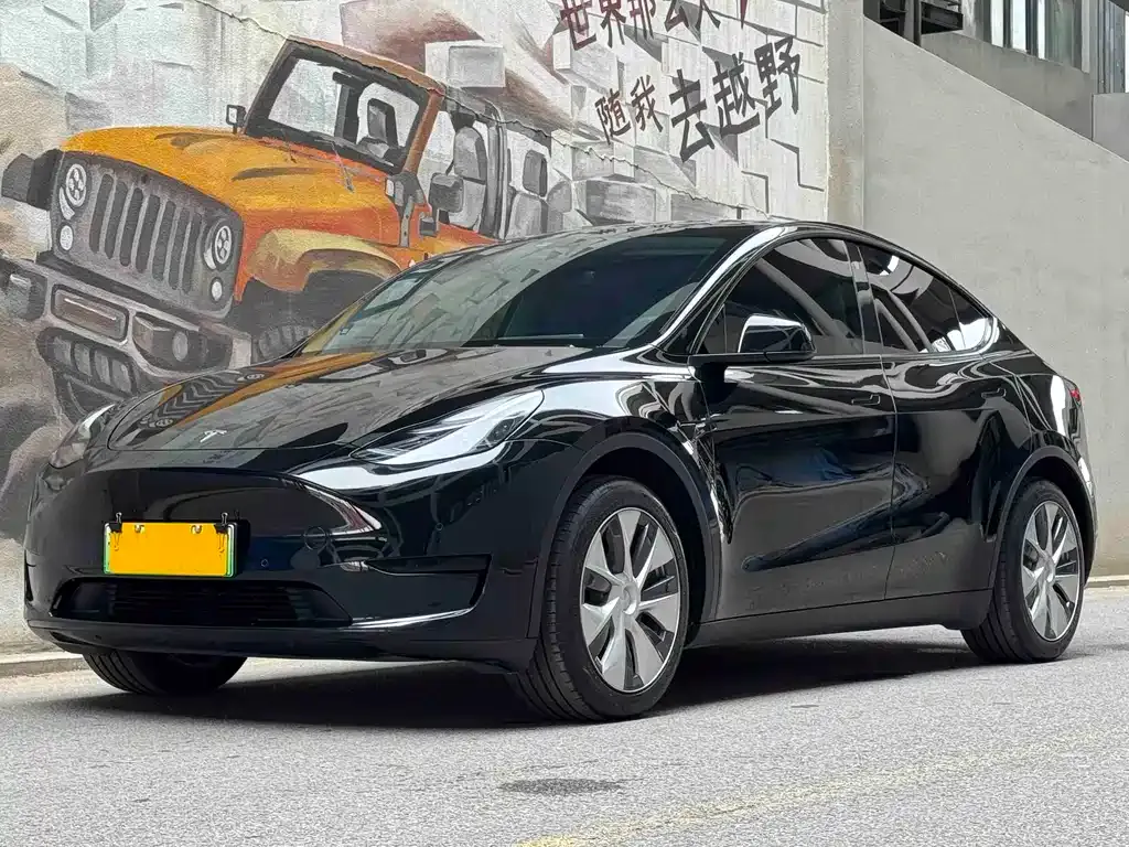 Tesla Model Y — фото 1