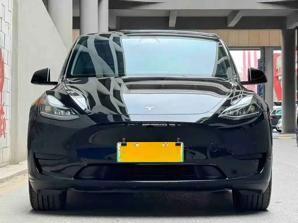 Tesla Model Y — фото 10