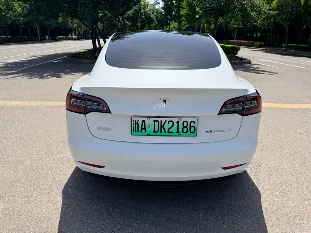 Tesla Model 3 — фото 2