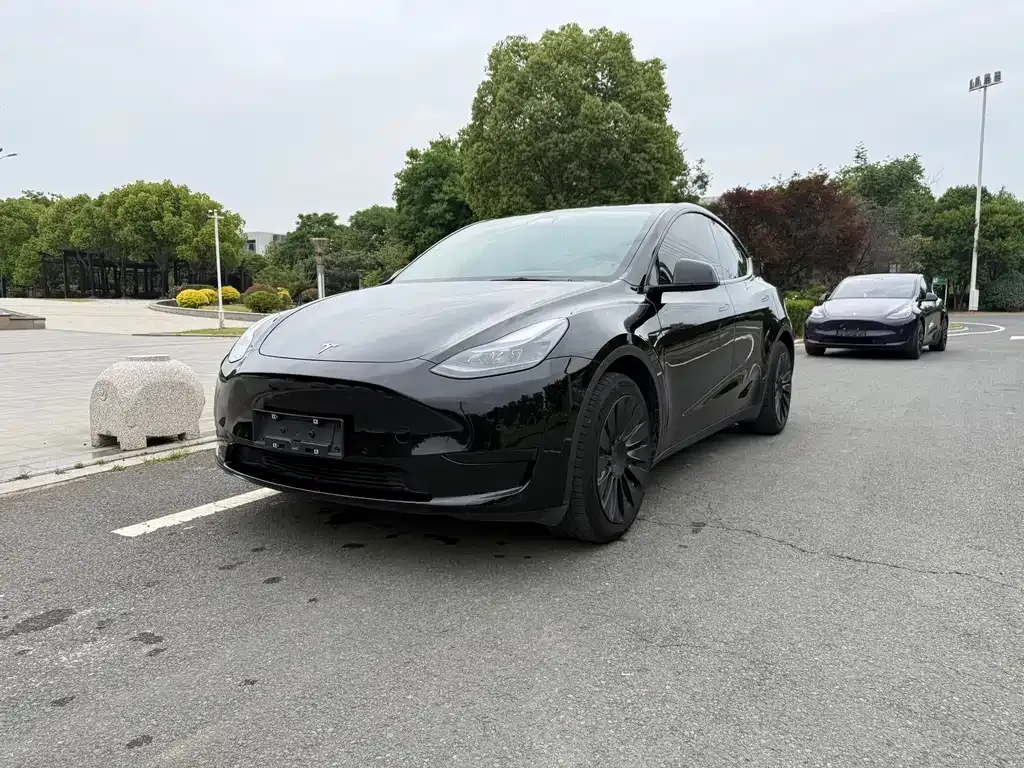 Tesla Model Y — фото 1