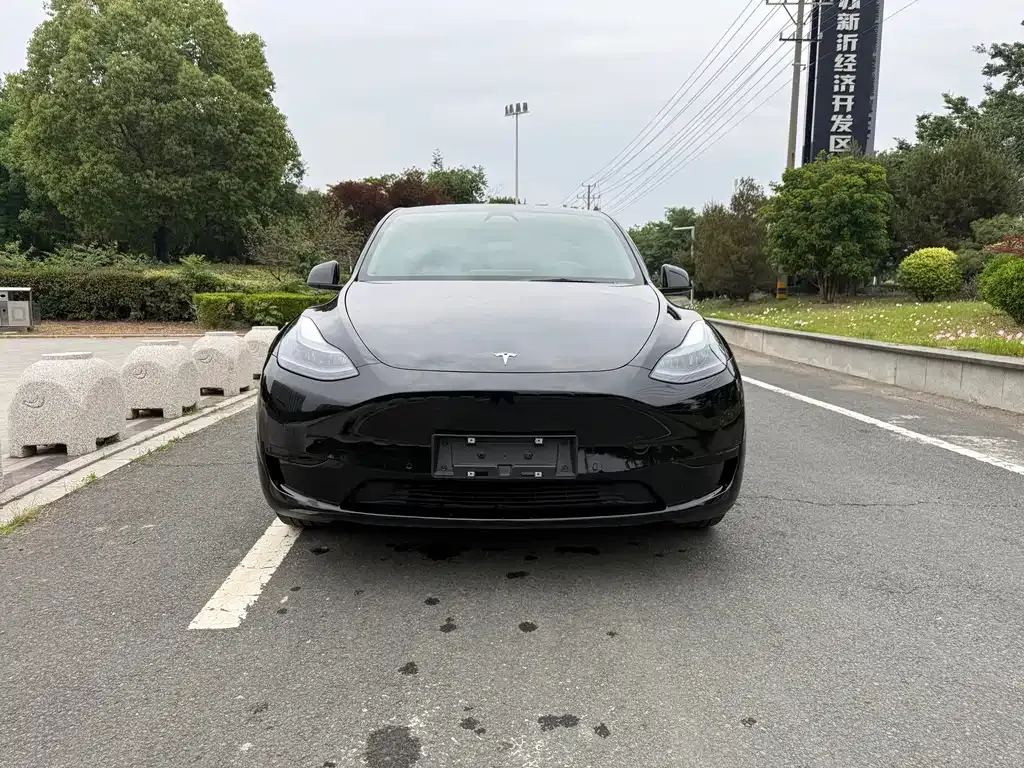 Tesla Model Y — фото 9
