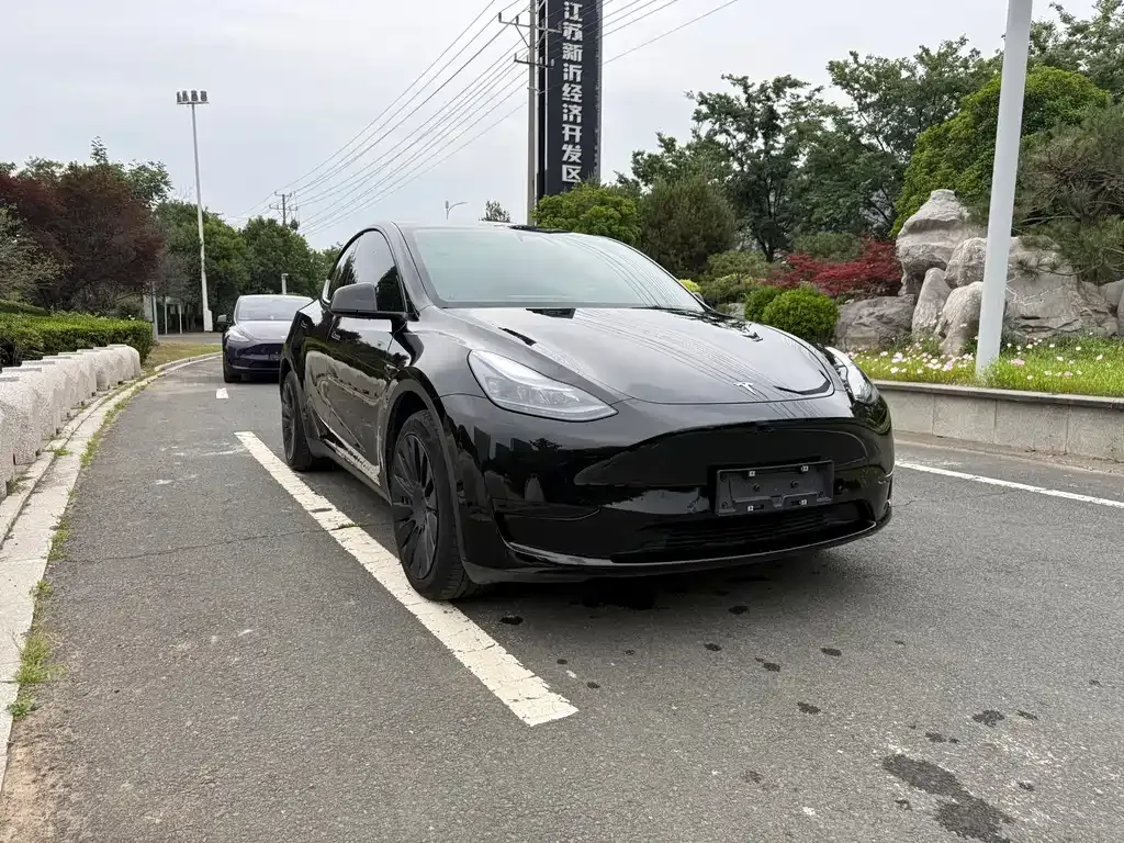 Tesla Model Y — фото 6
