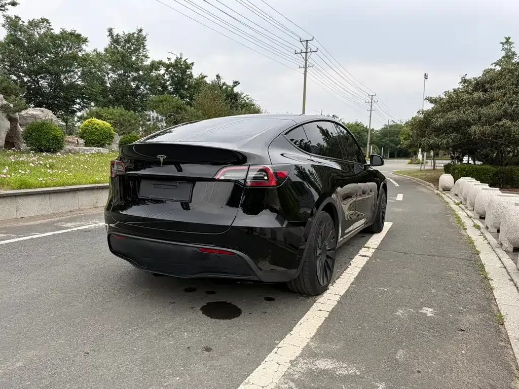 Tesla Model Y — фото 2