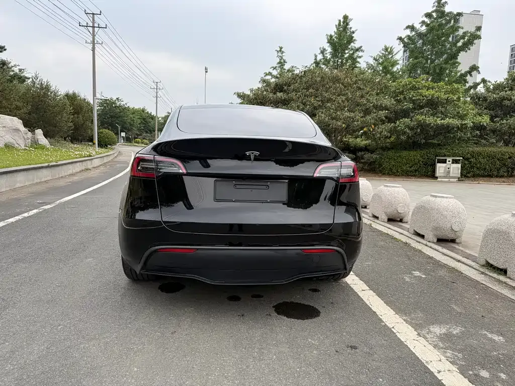 Tesla Model Y — фото 3