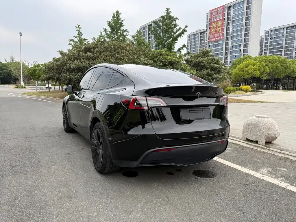 Tesla Model Y — фото 8