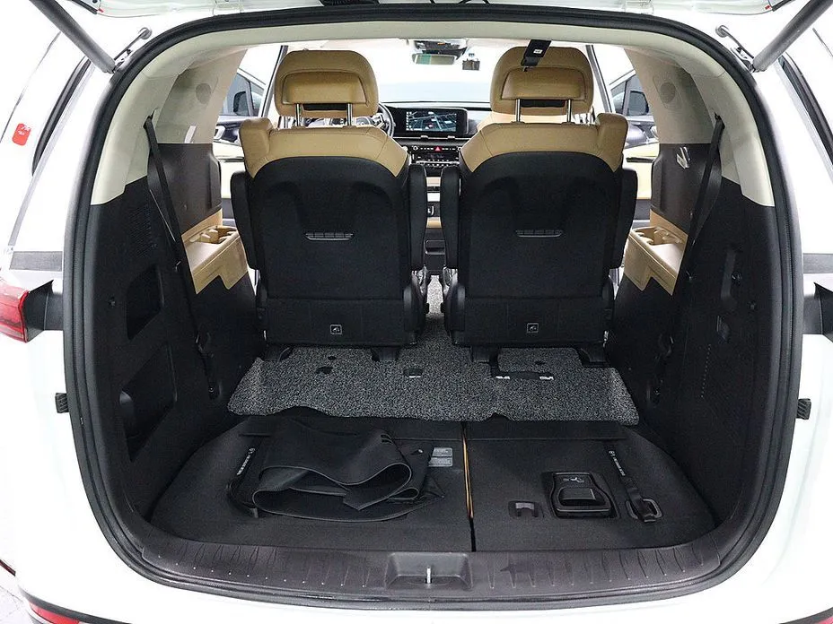 Kia Carnival — фото 10