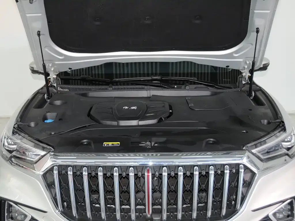 Hongqi HS5 2021 из CN, фото 9