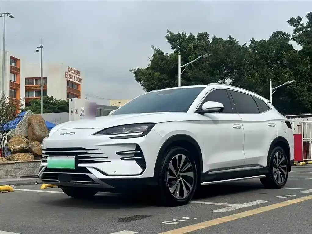 BYD PLUS New Energy — фото 7