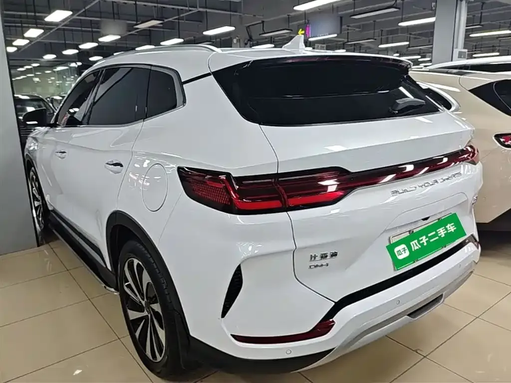 BYD PLUS New Energy — фото 3