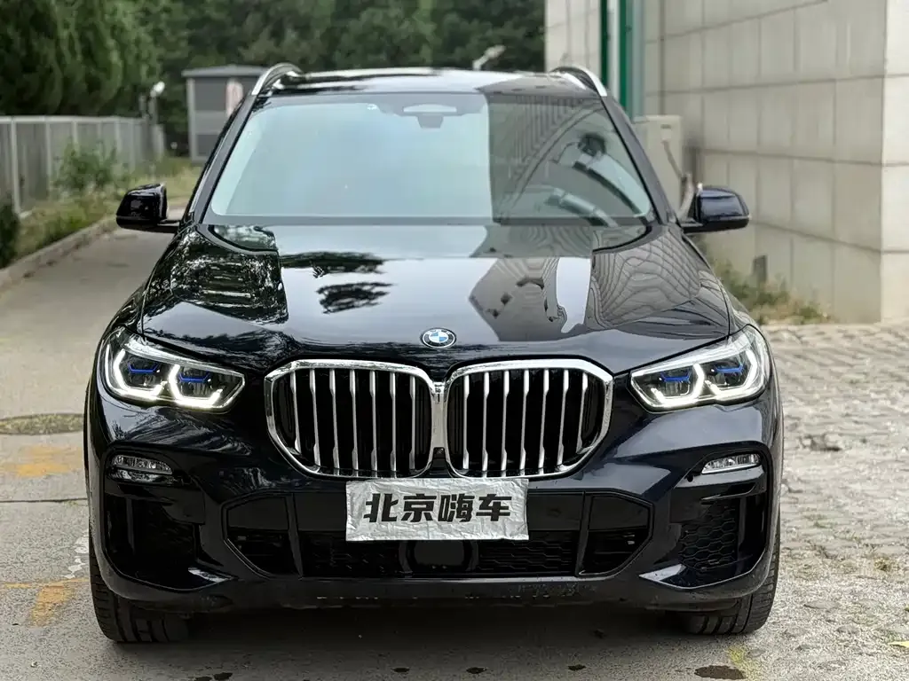 BMW X5 (Import) 2021 из CN, фото 2