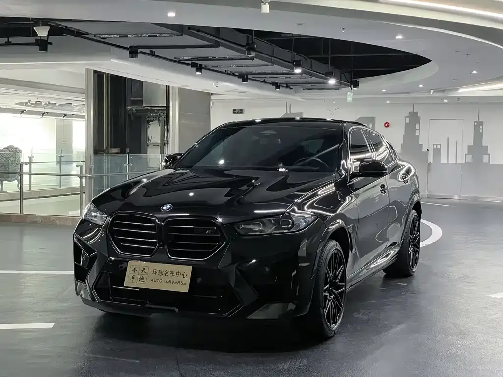 BMW X6 M
