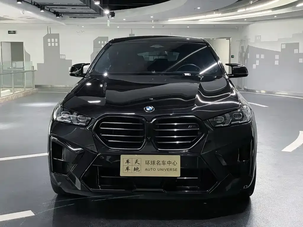 BMW X6 M 2023 из CN, фото 6