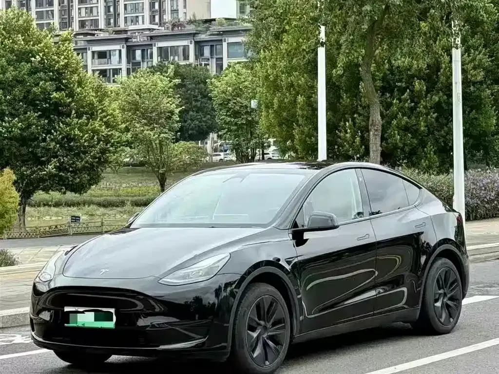 Tesla Model Y — фото 1