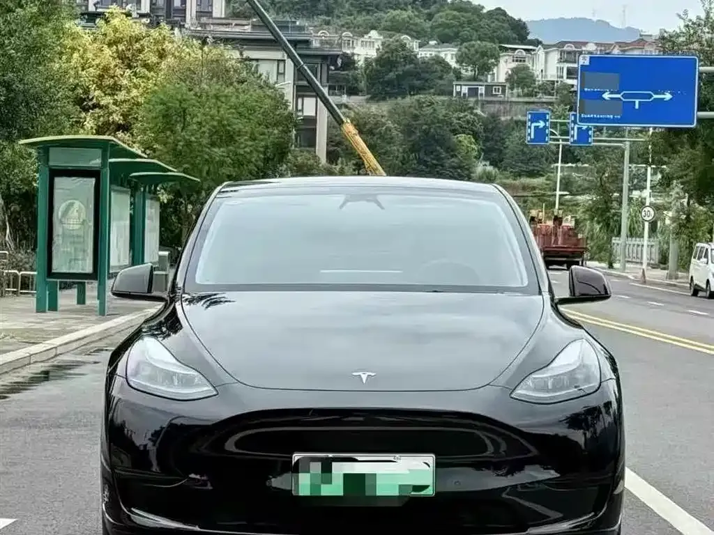 Tesla Model Y — фото 2