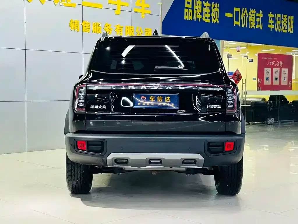 Haval Big Dog 2025 из CN, фото 3